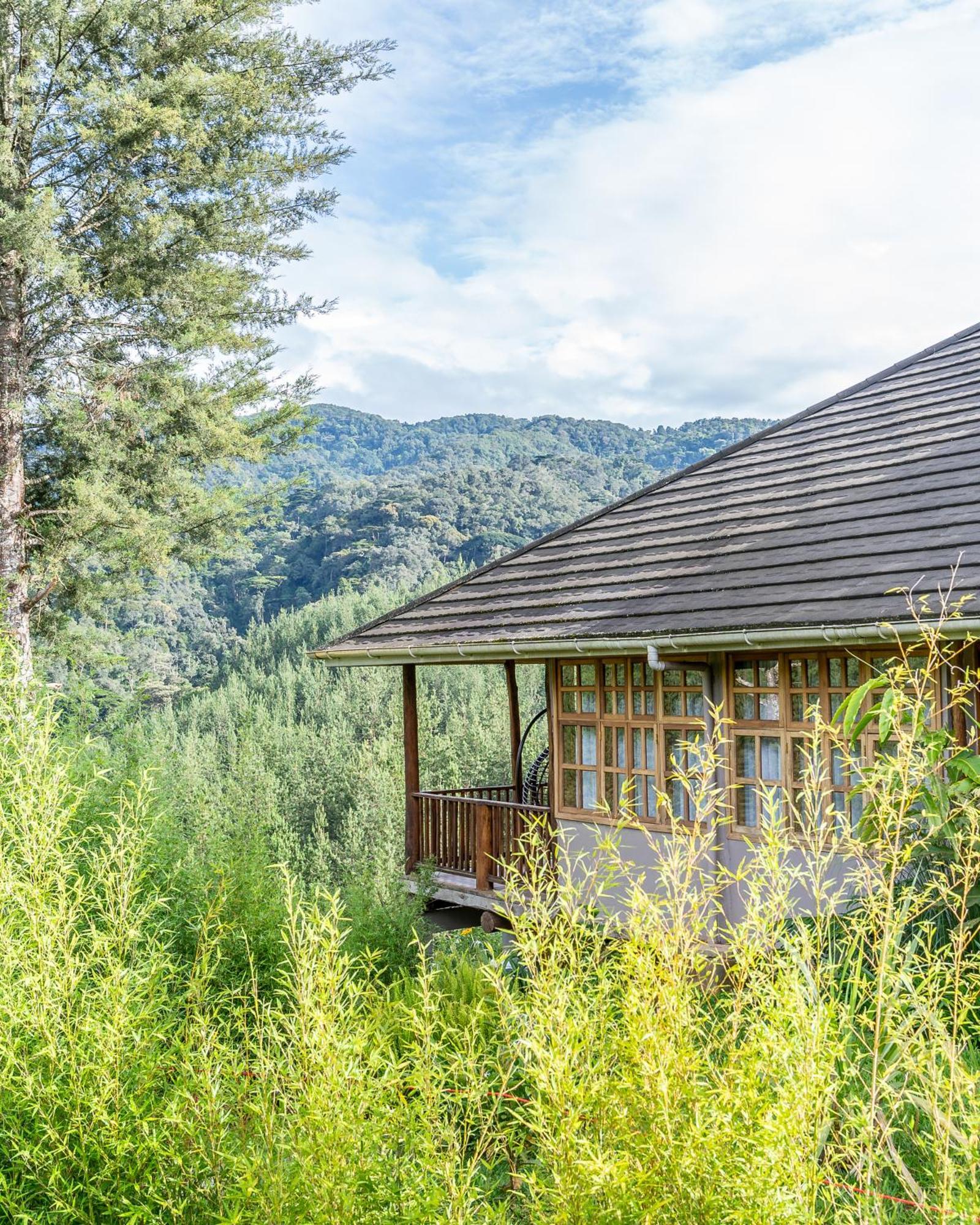 Gorilla Leisure Lodge Kisoro Екстериор снимка